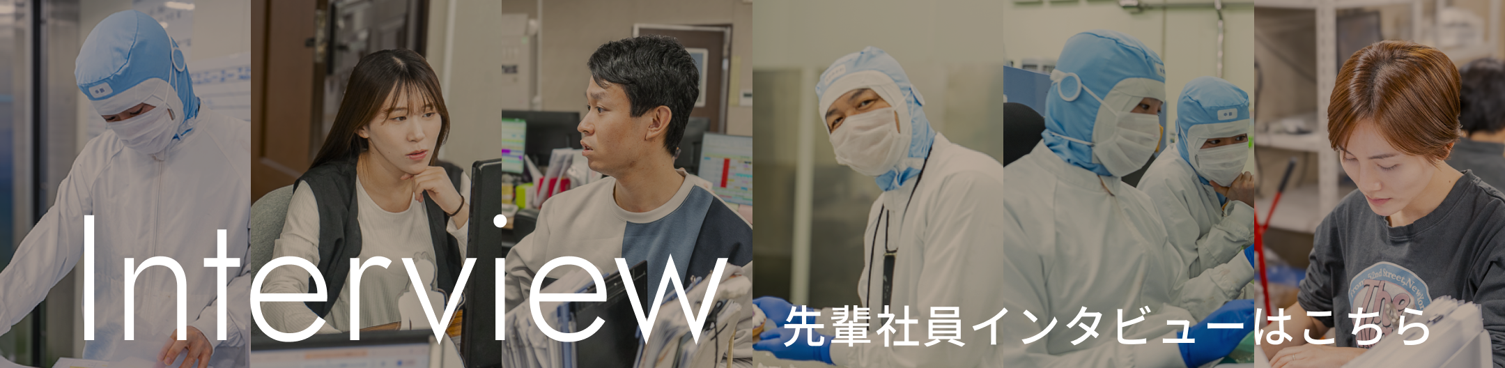 先輩インタビュー